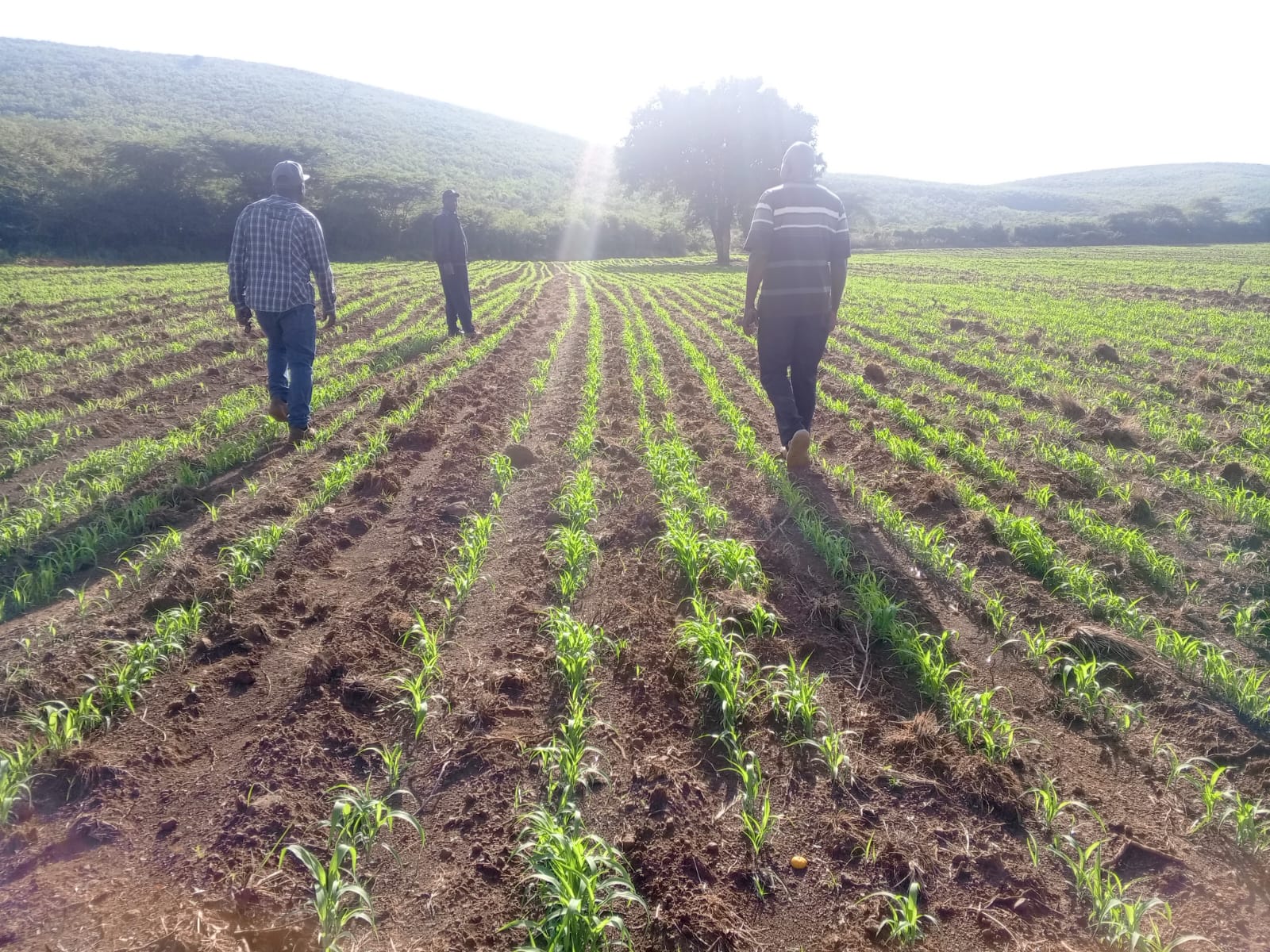 Byramold agricultural operations